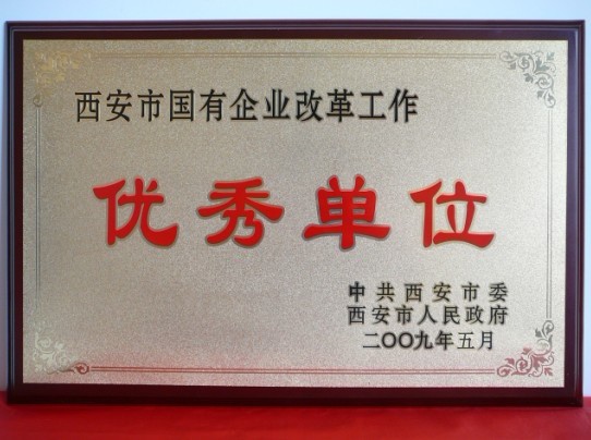 2009年5月，被西安市委、市当驹炖为西安市国企业鼎新工作优良单元