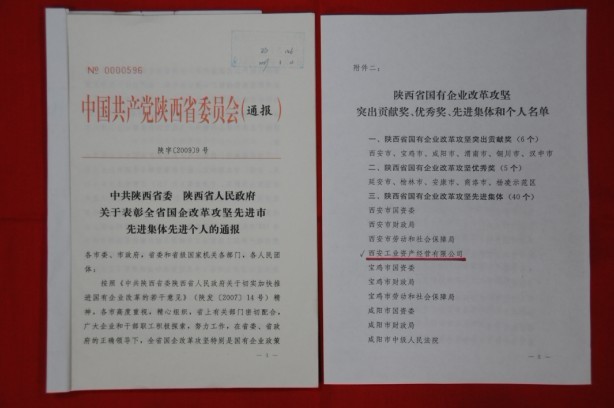 2009年2月，被陕西省委、省敌灾授予陕西省国有企业鼎新攻坚先进集体