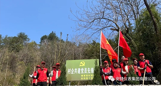 党建强引领，，，，共植先锋林